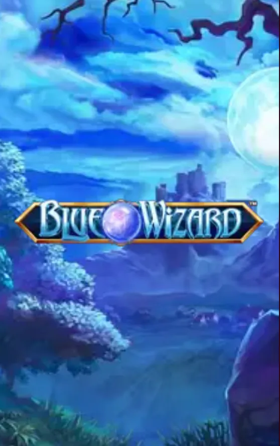 Blue Wizard slot cover